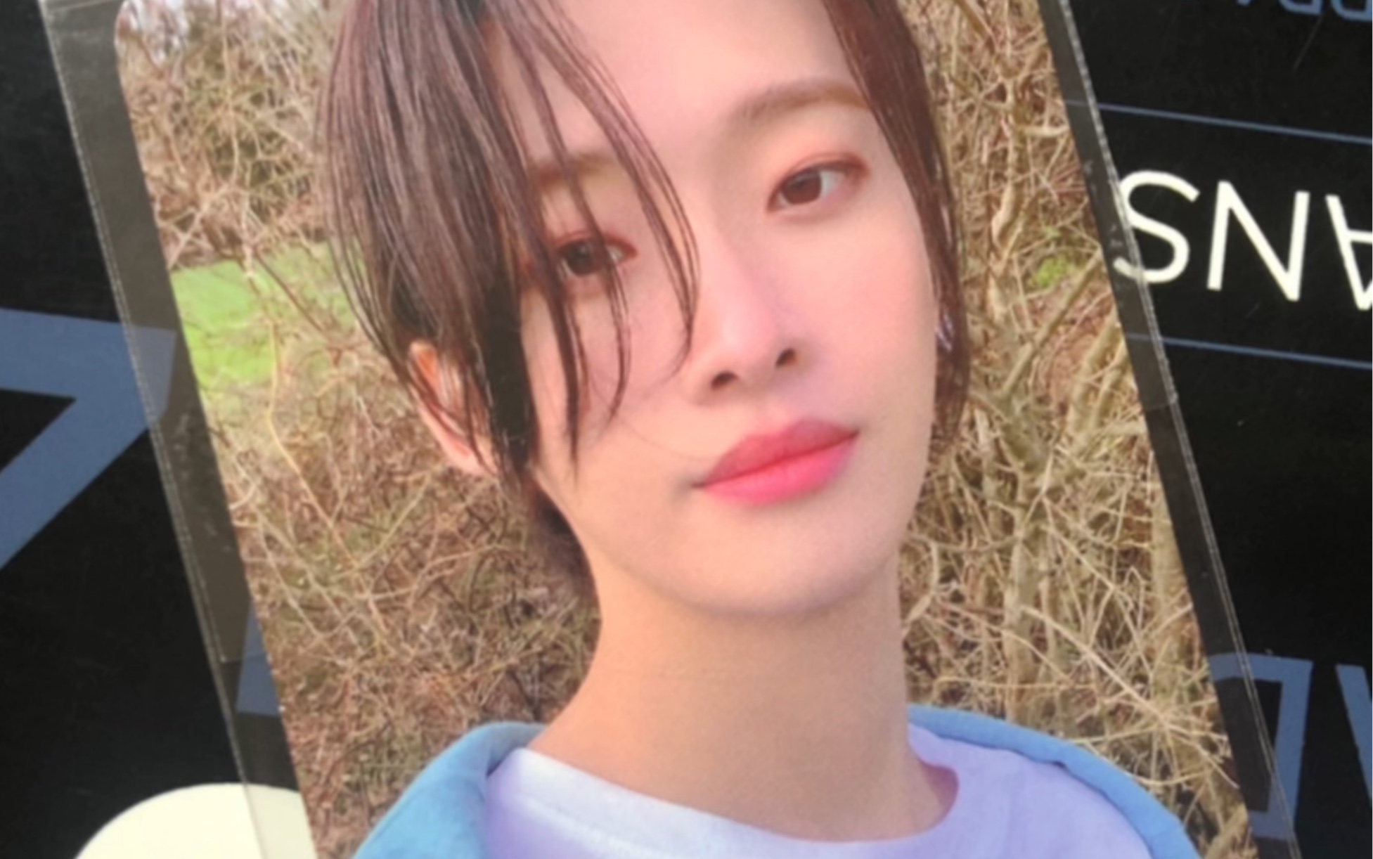 关于我的特典卡抽到了李泰烨