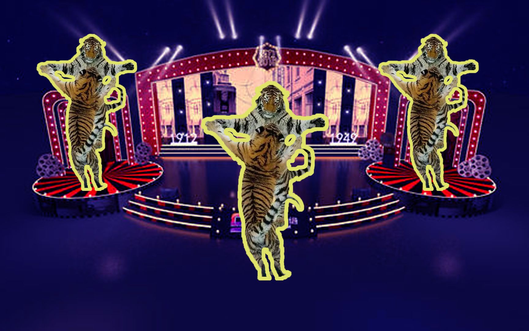 两只老虎爱跳舞,真老虎篇,江湖斗争