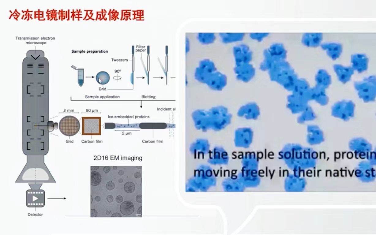 今天学什么?—冷冻电镜制样及成像原理哔哩哔哩bilibili