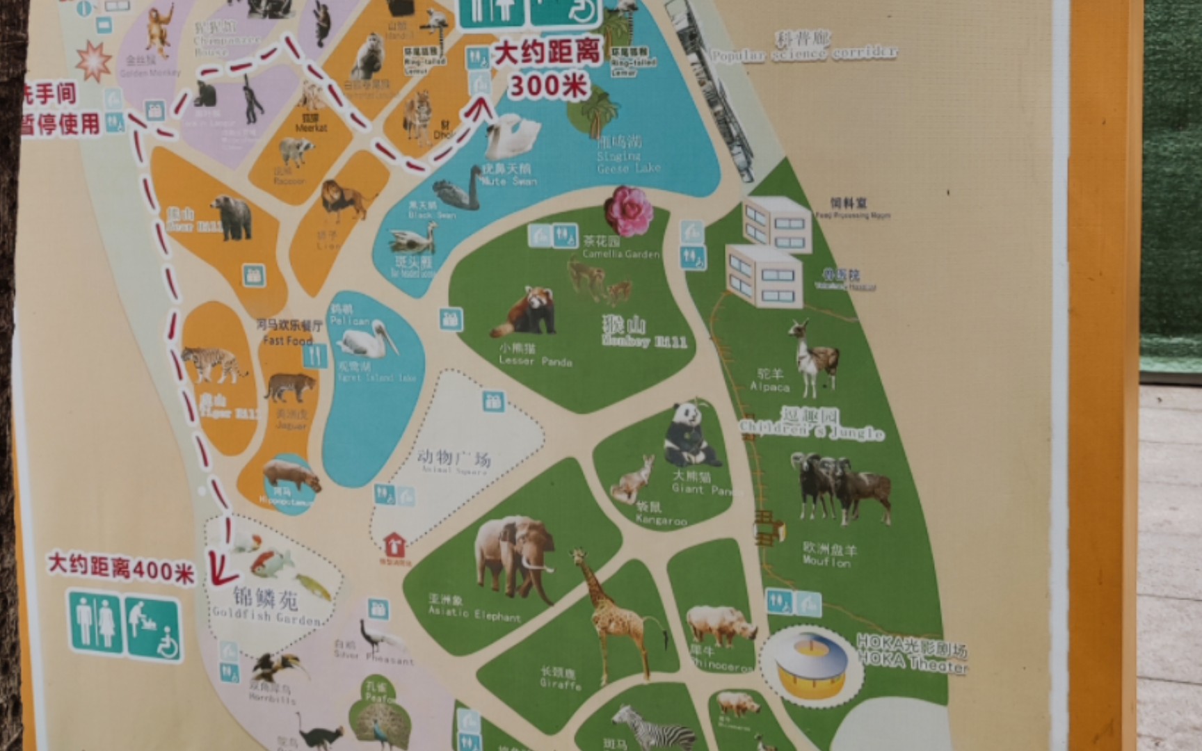 广州动物园园区导游图图片