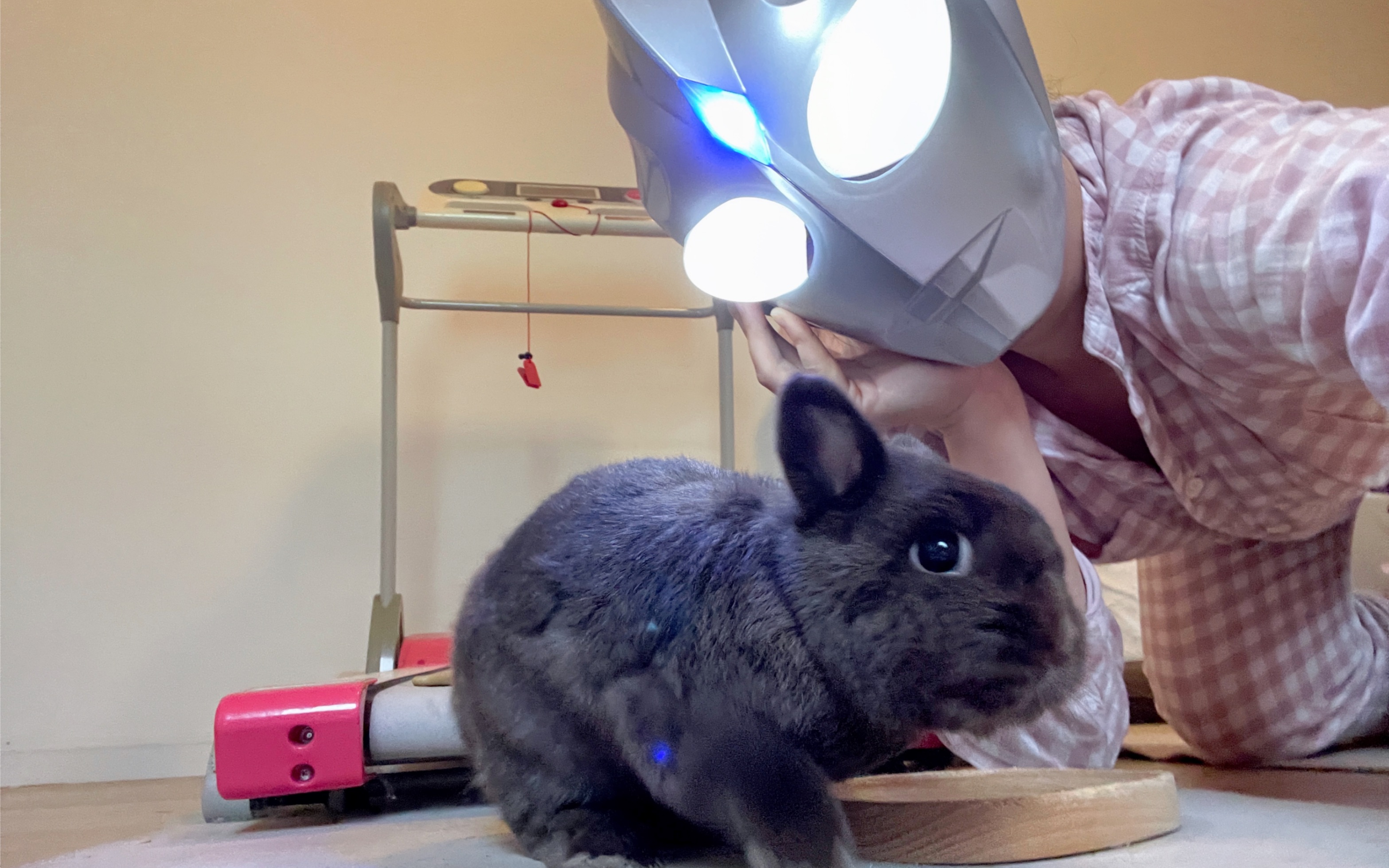 太难了,奥特曼抓小兔兔