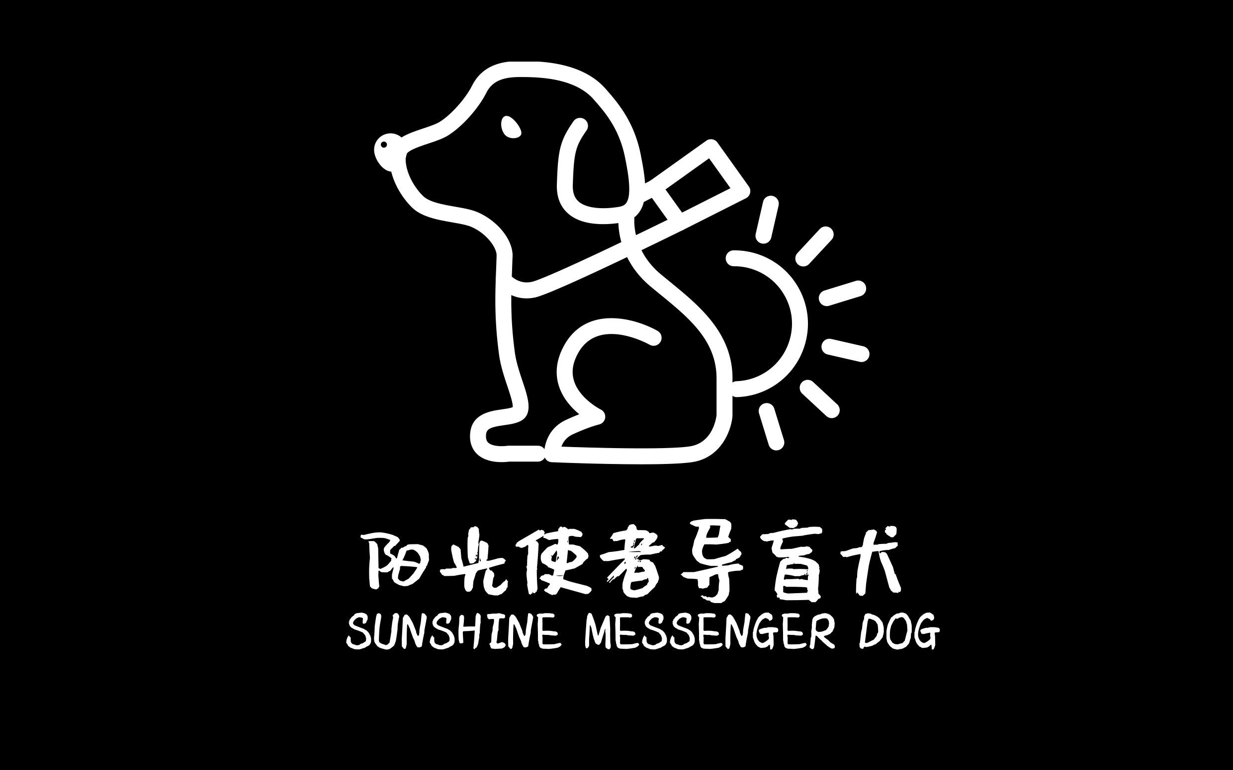 陕西导盲犬前传,你不知道的那些.