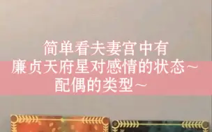 Descargar video: 简单看夫妻宫中有廉贞天府星对感情的状态～配偶的类型～