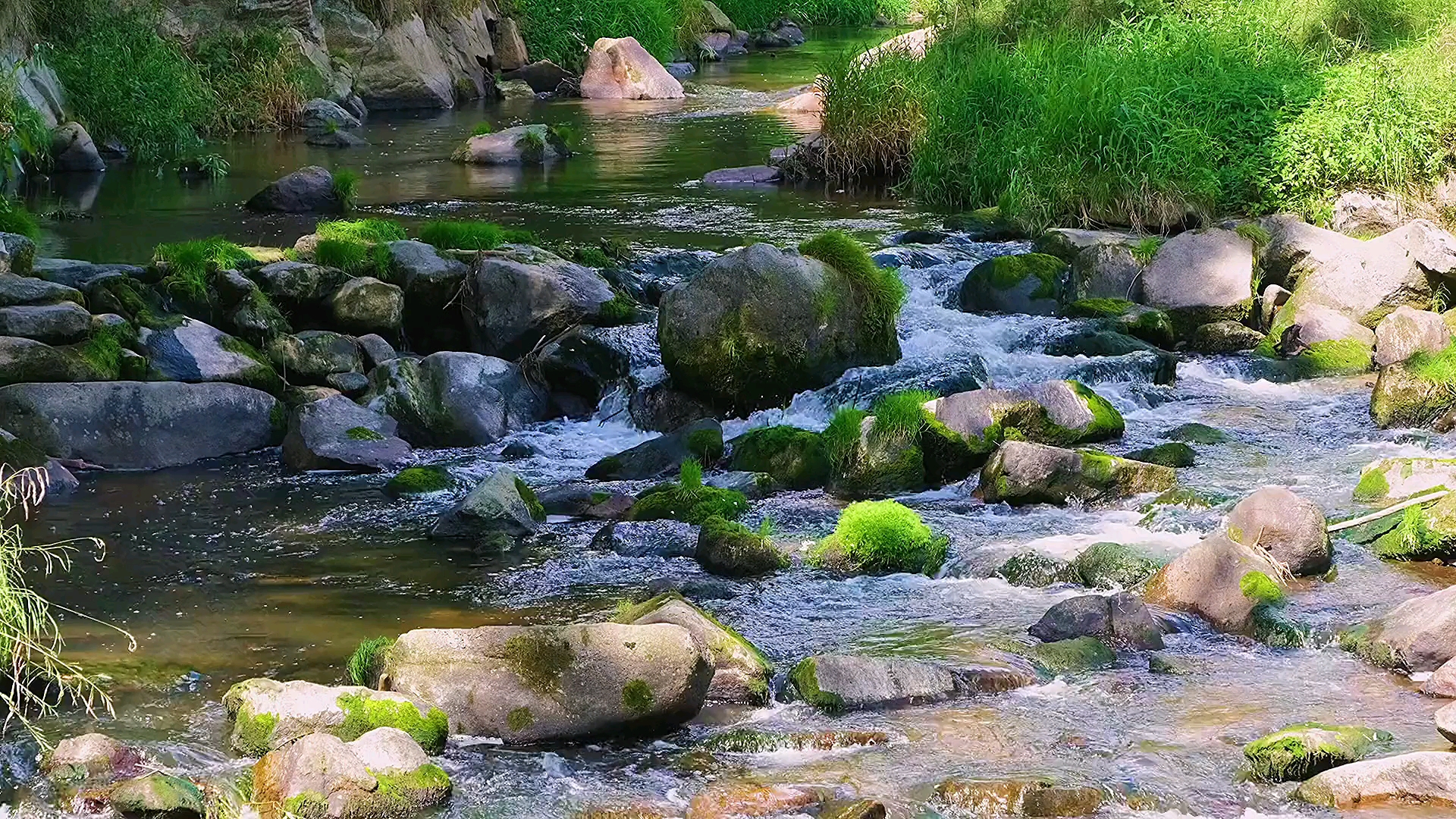 涓涓流水,鸟唱虫鸣,一幅大自然多么美丽的景象,爱护环境,从我做起,还