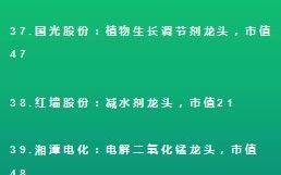 全体股民快来抄作业了!A股化工板块最优秀的40家公司哔哩哔哩bilibili