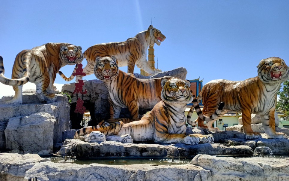 【松花湖五虎岛一日游】简而言之宅女体会不到旅游的快乐