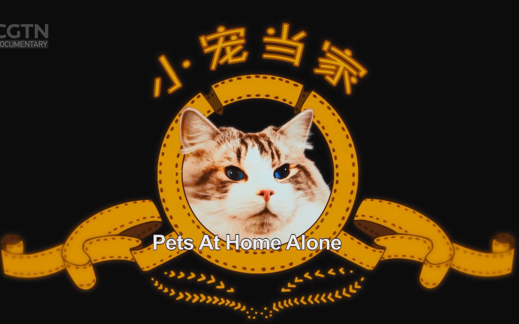 cgtn纪录片小宠当家英文解说版1080p全5集超高画质享受