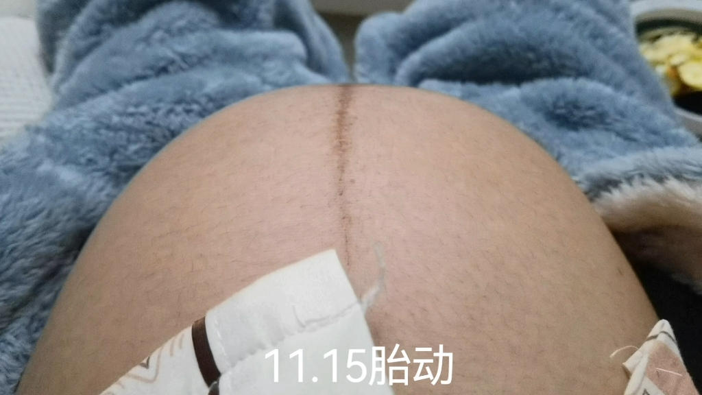 [图]好孕日记：11.15胎动