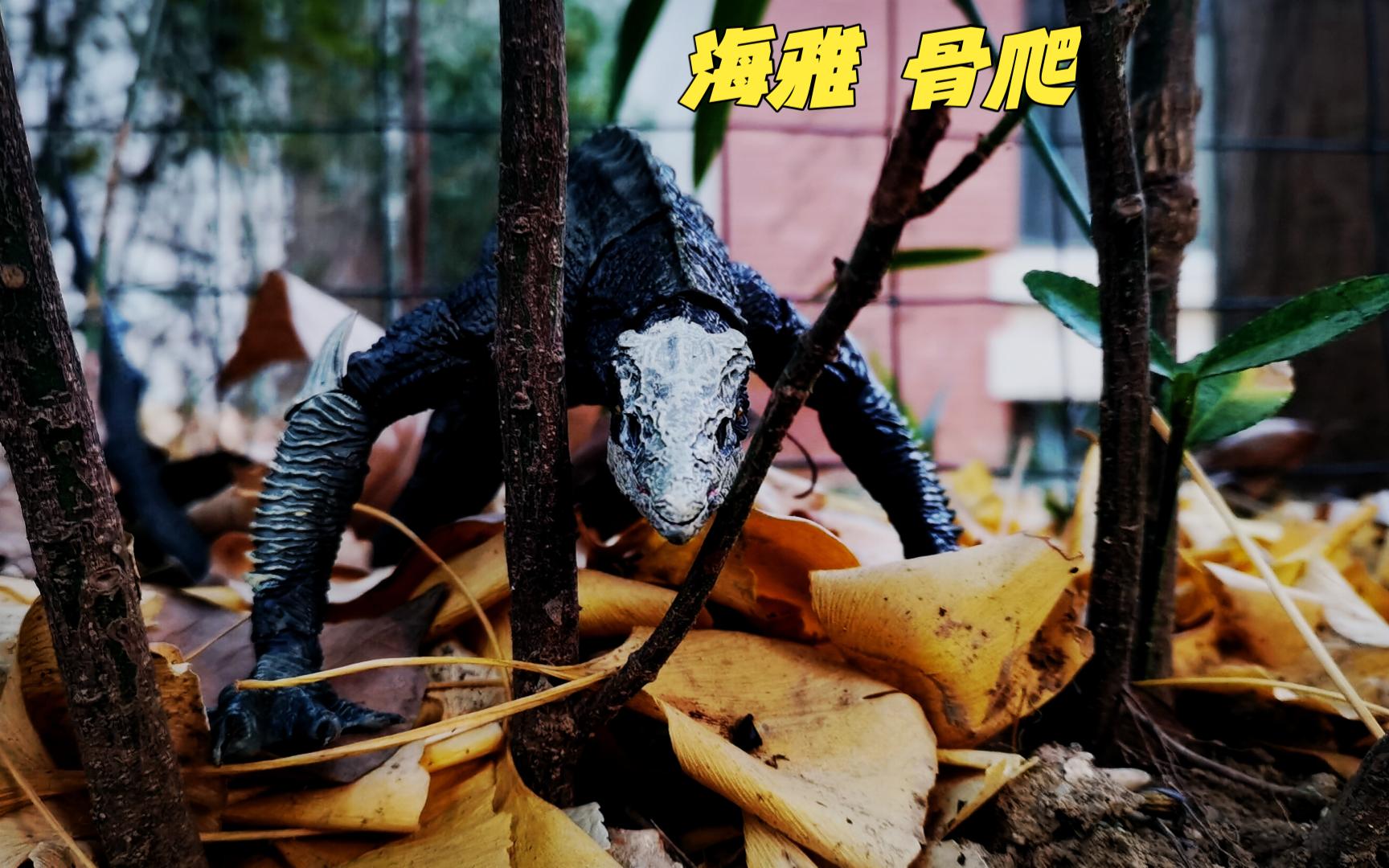 海雅 骷髅爬行者/骨爬 可动玩具