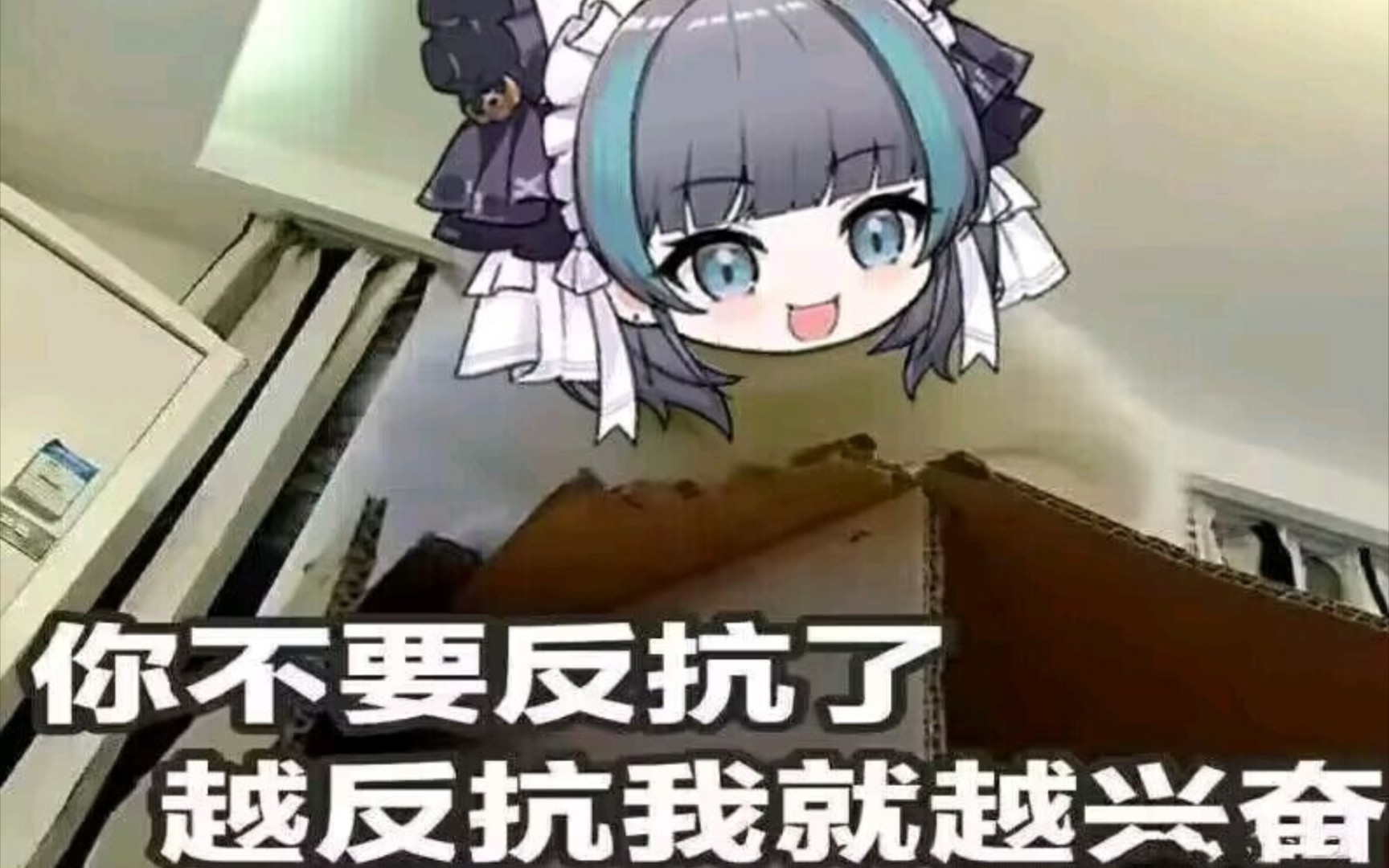 《碧蓝航线》柴郡猫猫图4