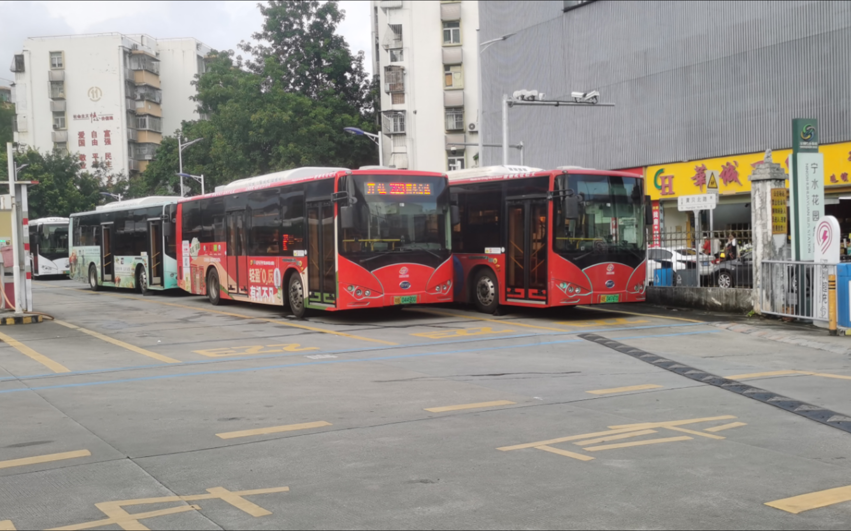 深圳巴士集团223路(招商银行大厦-人民桥)比亚迪ck6100lgev2(k8)后排
