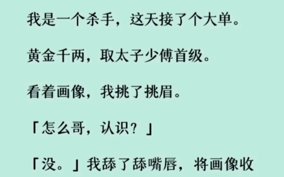 【双男主】【全文已更完】我是一个杀手,这天接了个大单.黄金千两,取太子少傅首级.看着画像,我挑了挑眉…哔哩哔哩bilibili