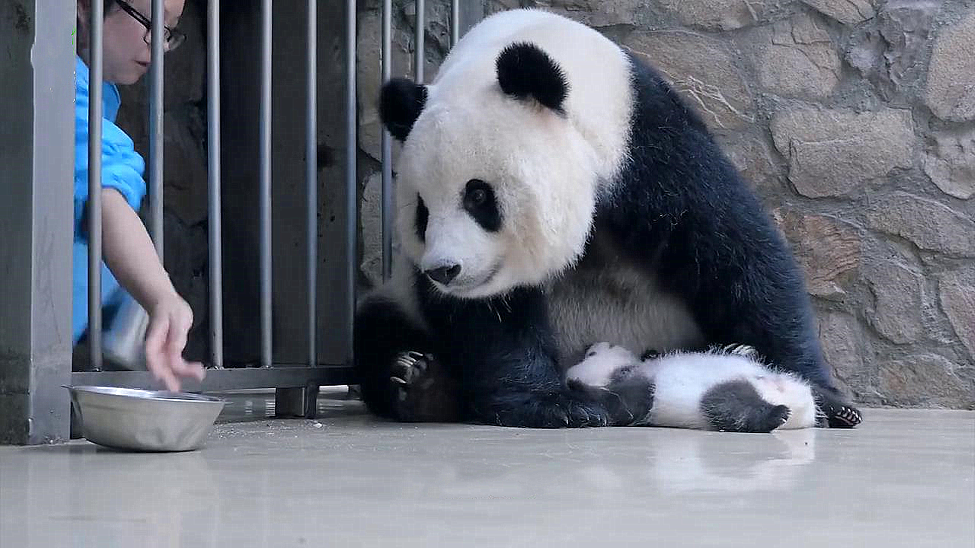 她递过来的忘崽牛奶熊猫妈妈不仅不会还价还对她唯命是从