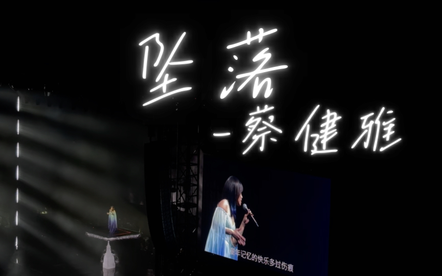 蔡健雅 11.11北京演唱会-5.坠落