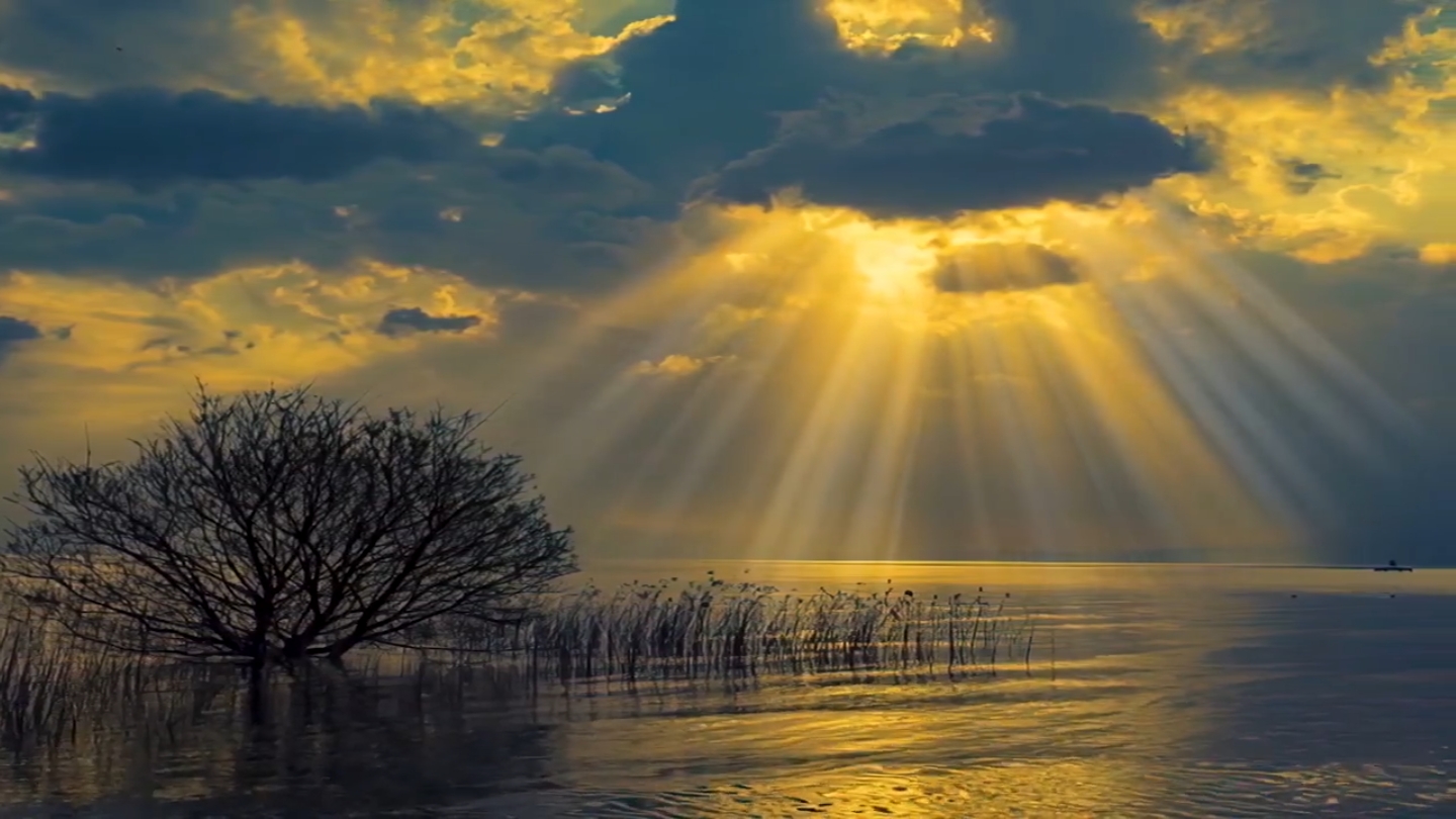 修得平常心,做个自在人