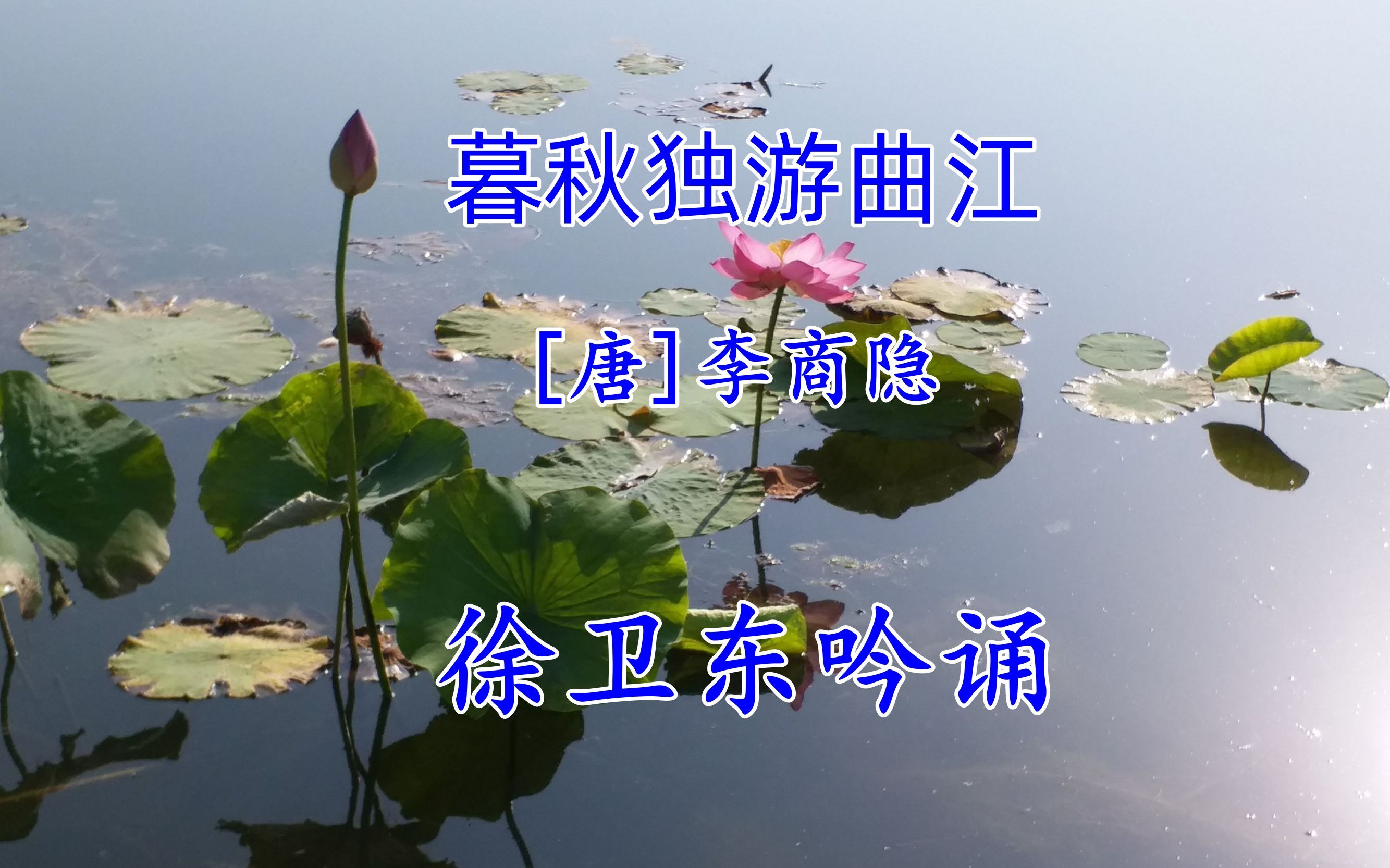 [图]《暮秋独游曲》（李商隐），徐卫东教授吟诵，好听好看又好学