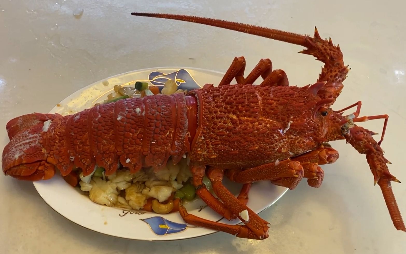 活动作品小伙花1000元买了一只三斤澳龙做清炒澳龙色香味俱全