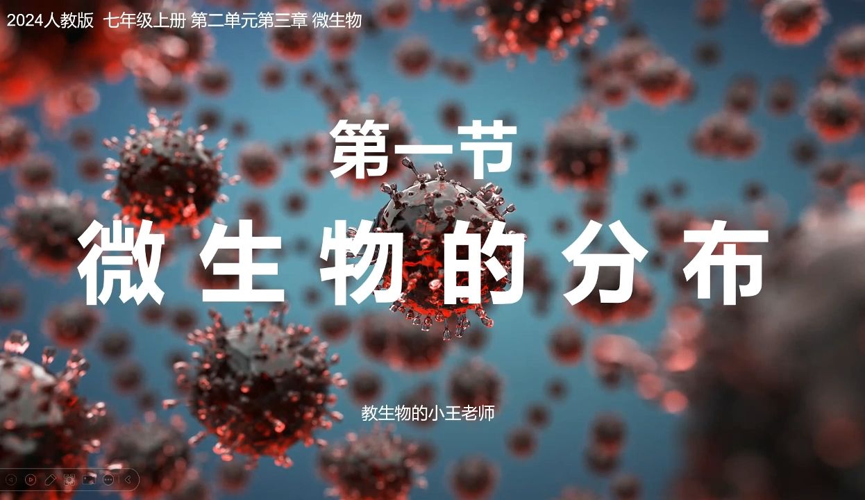 微生物的分布||2024初中生物新教材教学课件哔哩哔哩bilibili