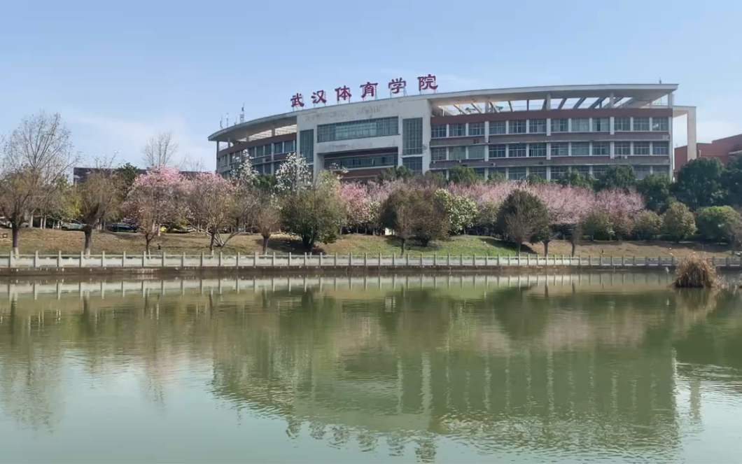 学校的花开了