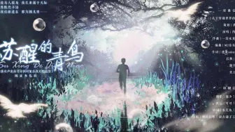 【羽落有声】不雅臣原作｜纯爱广播剧《分到对象后我只想退货》陶证角色曲《苏醒的青鸟》