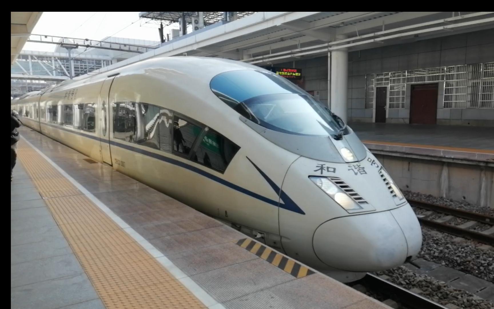 crh3c兔子图片