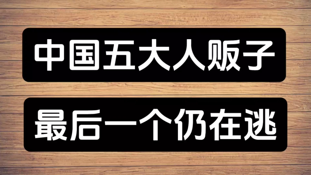 中国五大人贩子,最后一个仍在逃!哔哩哔哩bilibili