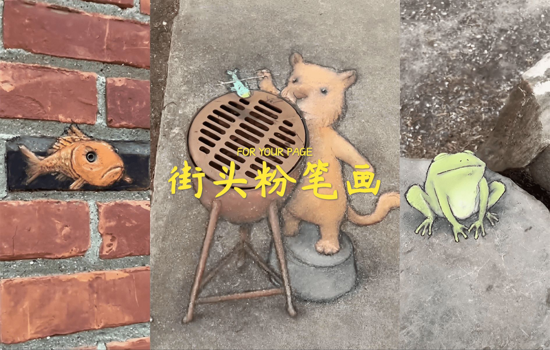 街头艺术家 David Zinn 小动物粉笔画,超可爱!!!哔哩哔哩bilibili