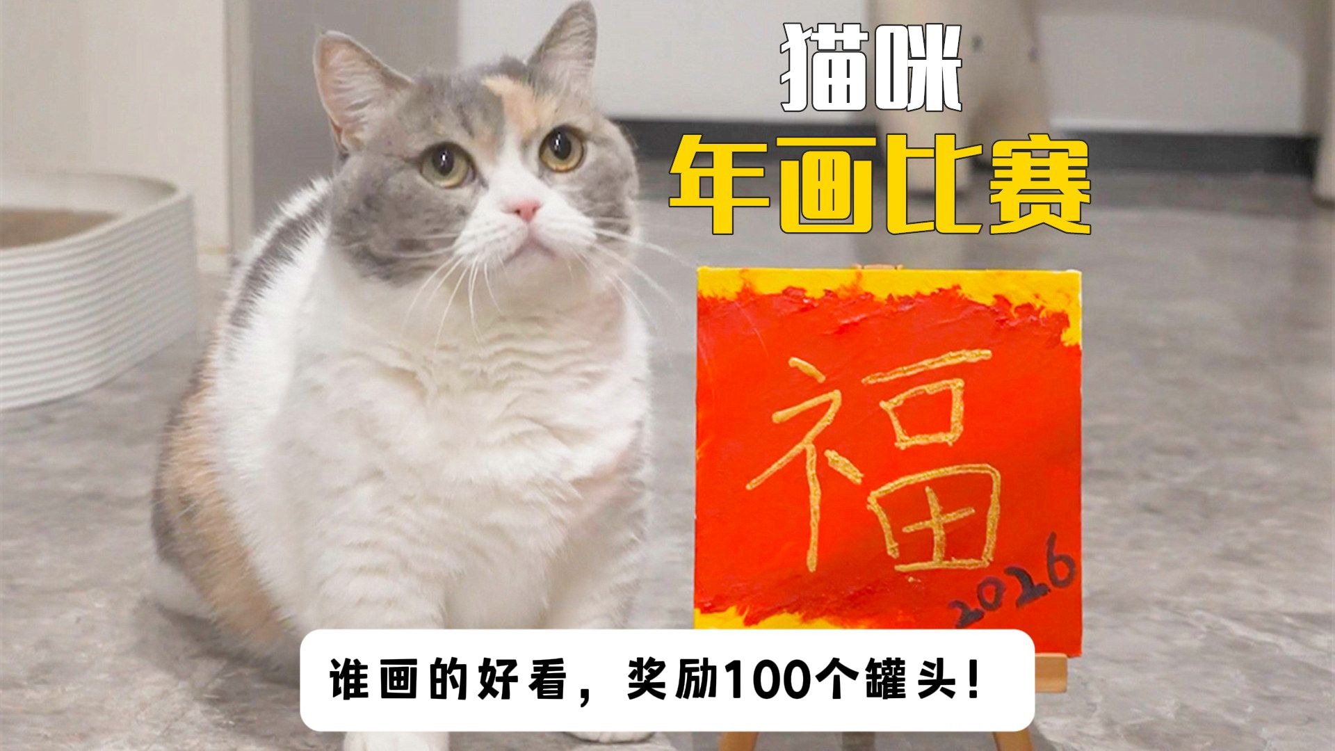 5只猫年画比赛,谁画的好看奖励100个罐头!-萌猫宝哥哥-萌猫宝哥哥-哔哩哔哩视频