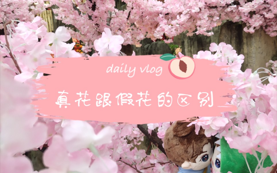 防真花跟假花的区别哔哩哔哩bilibili