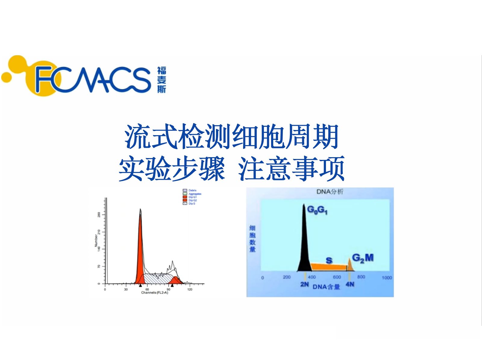 流式检测细胞周期 :实验步骤、注意事项哔哩哔哩bilibili