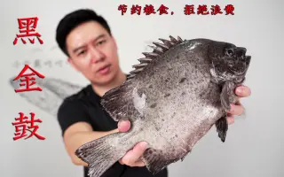 石鯛 搜索结果 哔哩哔哩 Bilibili