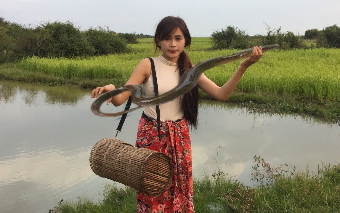 漂亮的柬埔寨姑娘挖陷阱捉黄鳝,厉害了老妹儿!