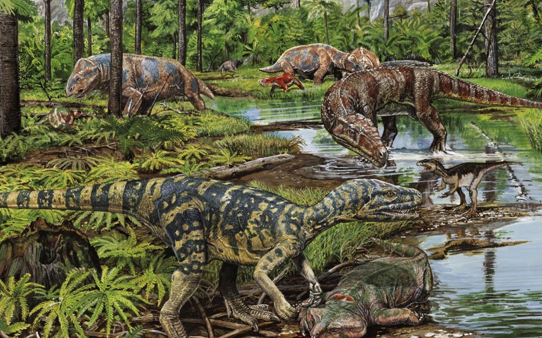 从二叠纪到更新世冰期,一路上地表和动植物的变化