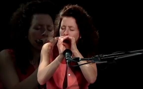 [图]教学Breathing - Blues Harmonica Blueprint - Annie Raines