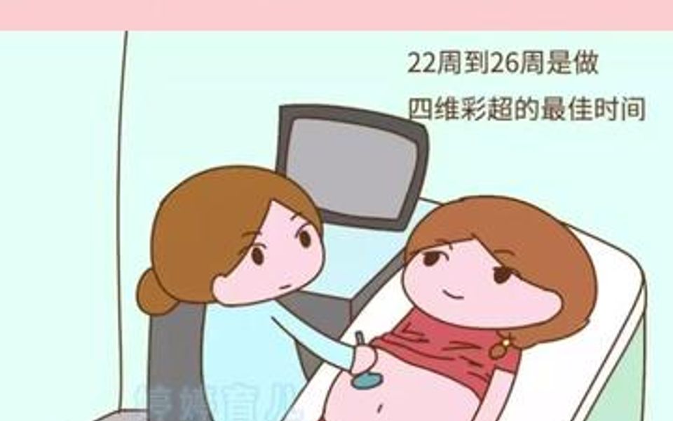 做四维要先知道的事情,避免尴尬!哔哩哔哩bilibili