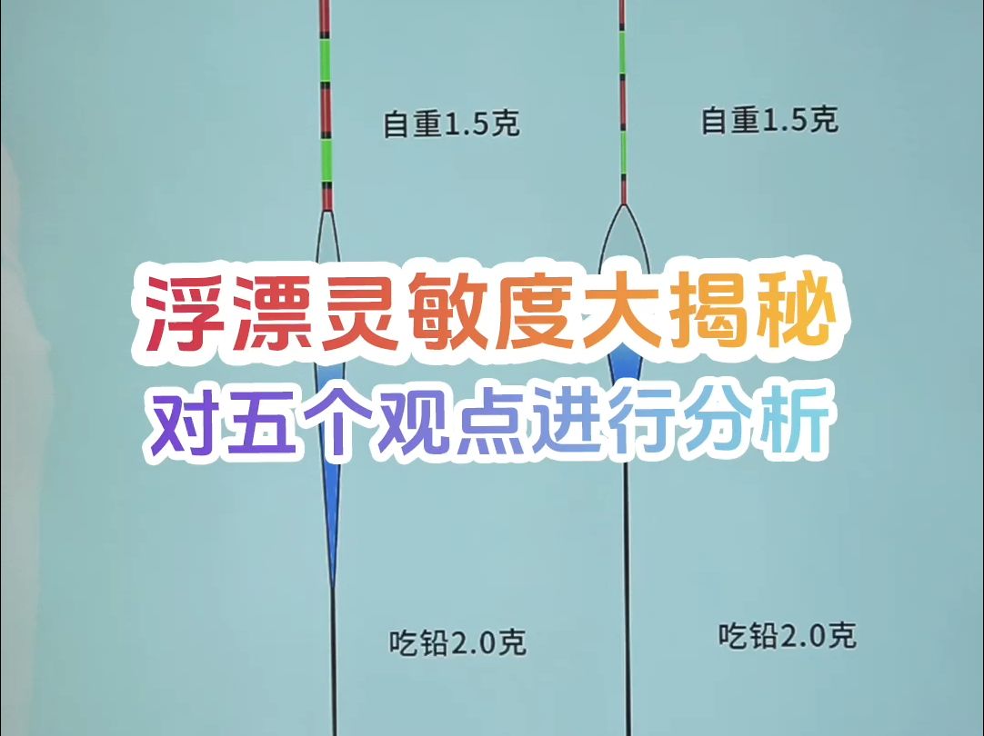 浮漂灵敏度大揭秘,对五个观点进行分析哔哩哔哩bilibili