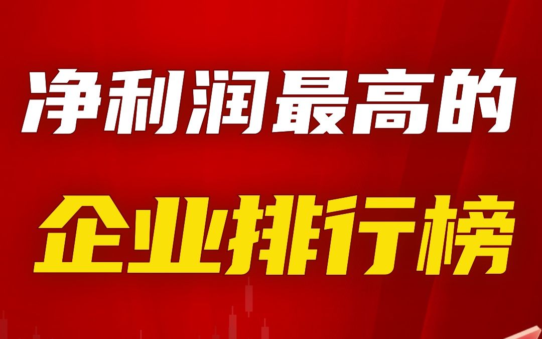 2023净利润最高的企业排行榜哔哩哔哩bilibili