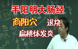 Download Video: 倪海厦：针灸大肠经 商阳穴 发烧退烧 放血 扁桃体发炎 大肠经井穴 食指尖的穴位