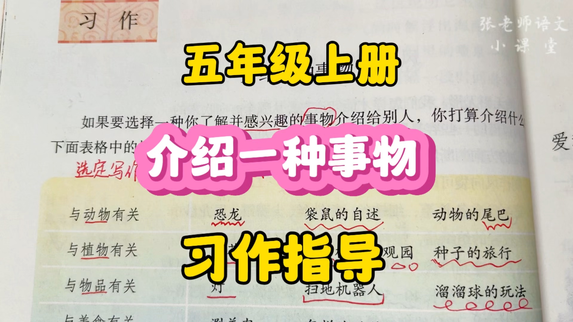 五年级上册:学习怎样写说明性文章,运用恰当的说明方法《介绍一种事物》给大家!哔哩哔哩bilibili