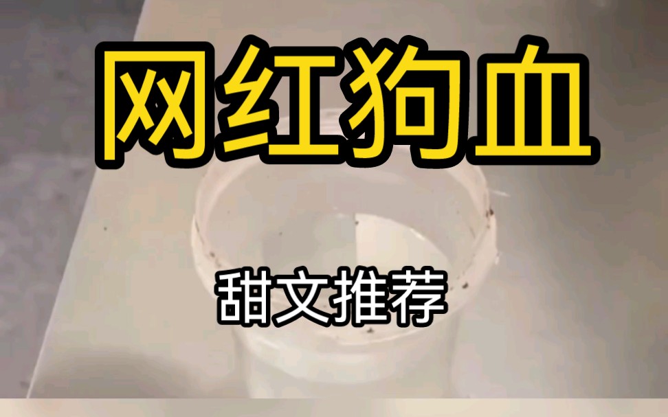 小说推荐~《网红狗血》霸道总裁的小娇妻,磕死我了、磕死我了!