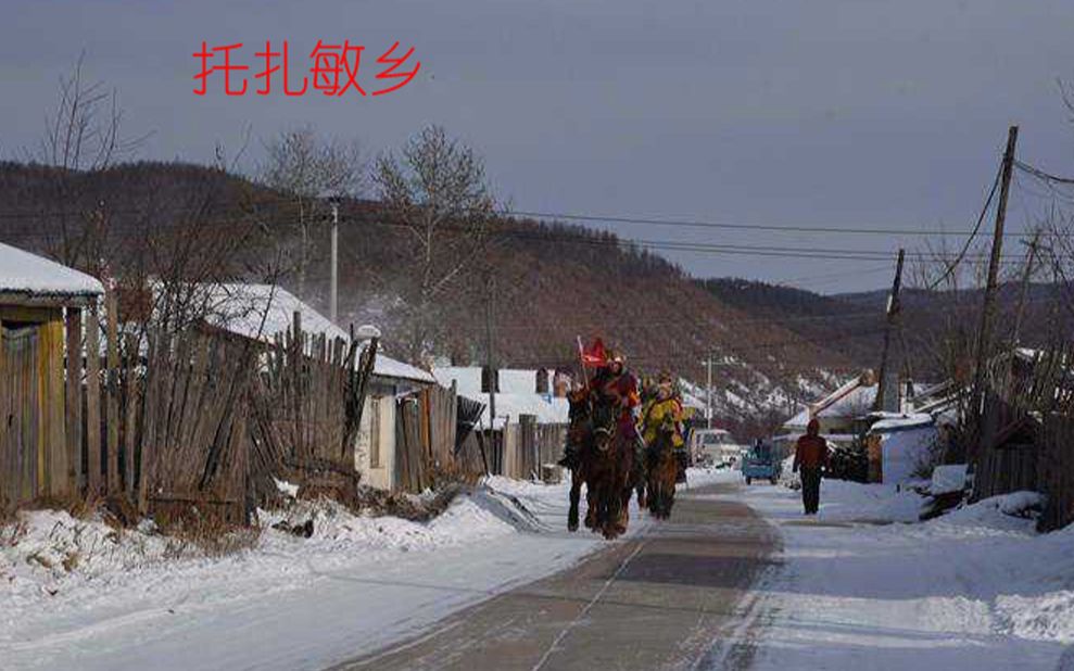 鄂伦春自治旗风光忘忧草哔哩哔哩bilibili