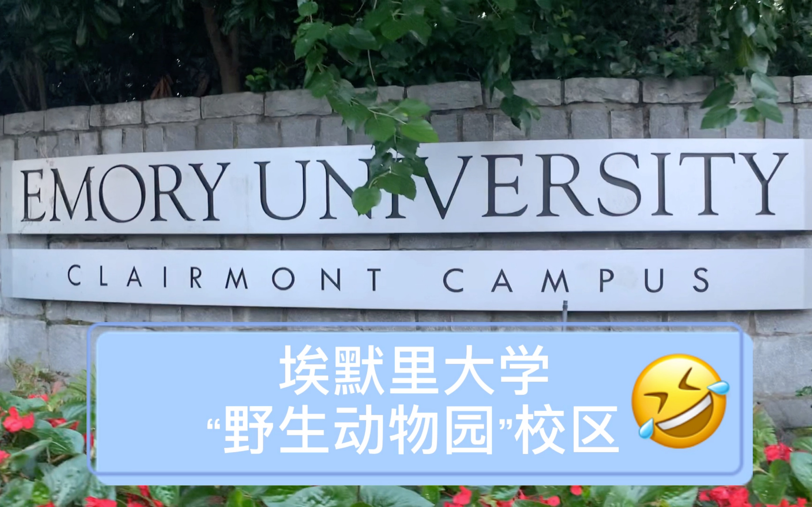 亚特兰大Emory大学的“野生动物园”之【Clairmont Campus】哔哩哔哩bilibili