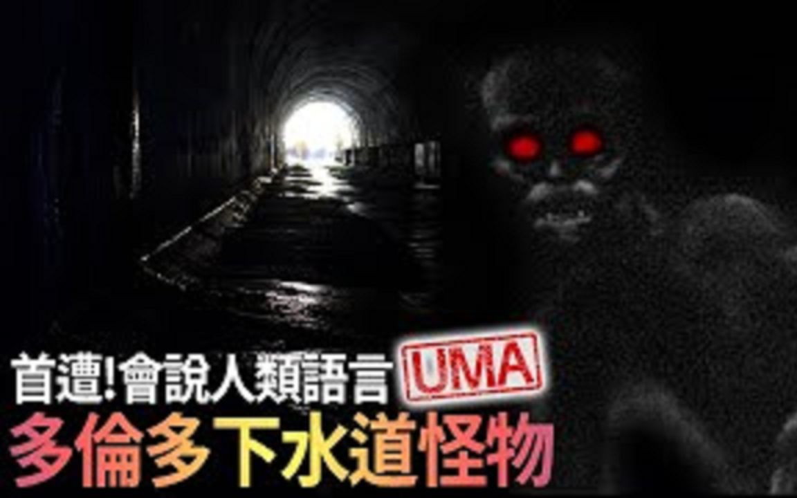 [图]UMA档案首遭!!会说人类语言的神秘UMA_!多伦多下水道怪物 - 蛰伏在地下黑暗世界的神秘生物。