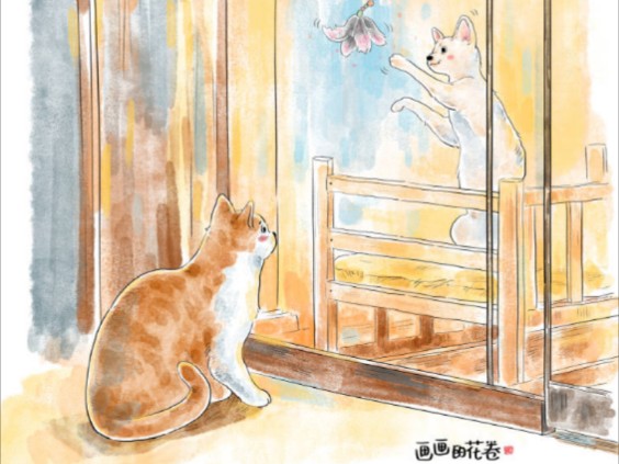 宠物猫在店内玩逗猫棒,流浪猫也凑了上去.有那么几下流浪猫也感受到有人疼的快乐.#流浪猫 #猫猫 #逗猫 #萌宠 #宠物 #宠物绘画 #感人瞬间哔哩哔哩...