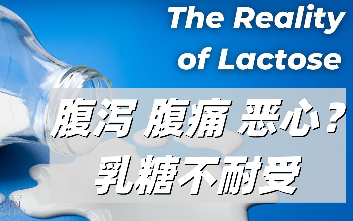 乳糖不耐受:七成现代人的通病!肠道大乱斗到底是怎么回事?哔哩哔哩bilibili