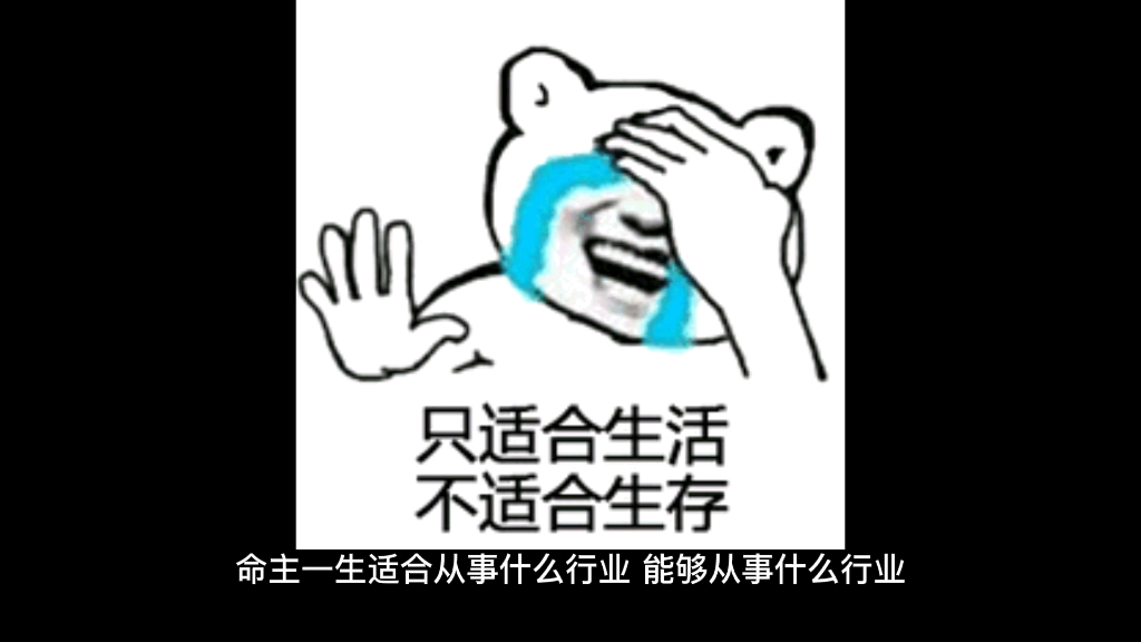 从八字看自己工作哔哩哔哩bilibili