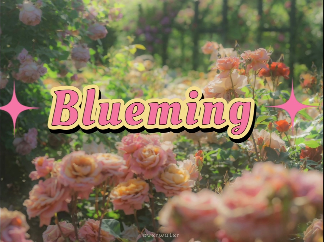 [图]动态歌词排版 | Blueming-IU李知恩