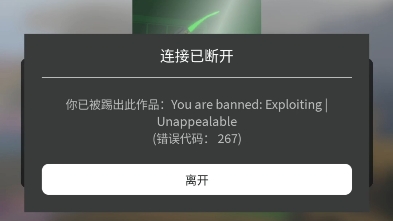 roblox错误代码267被踢出如何解除哔哩哔哩bilibili