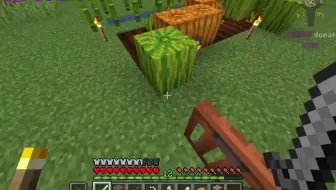 Minecraft おや びんとろ鯖の様子が 哔哩哔哩 Bilibili