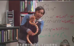 Download Video: [TBBT]谢尔顿：我居然想到用蛇来吓印度佬！库伯，你真是个傻子